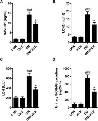 High Dose Vitamin E Attenuates Diabetic Nephropathy via Alleviation of Autophagic Stress